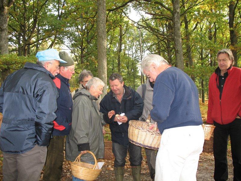 2008 10  Myco avec l 'ANY 02